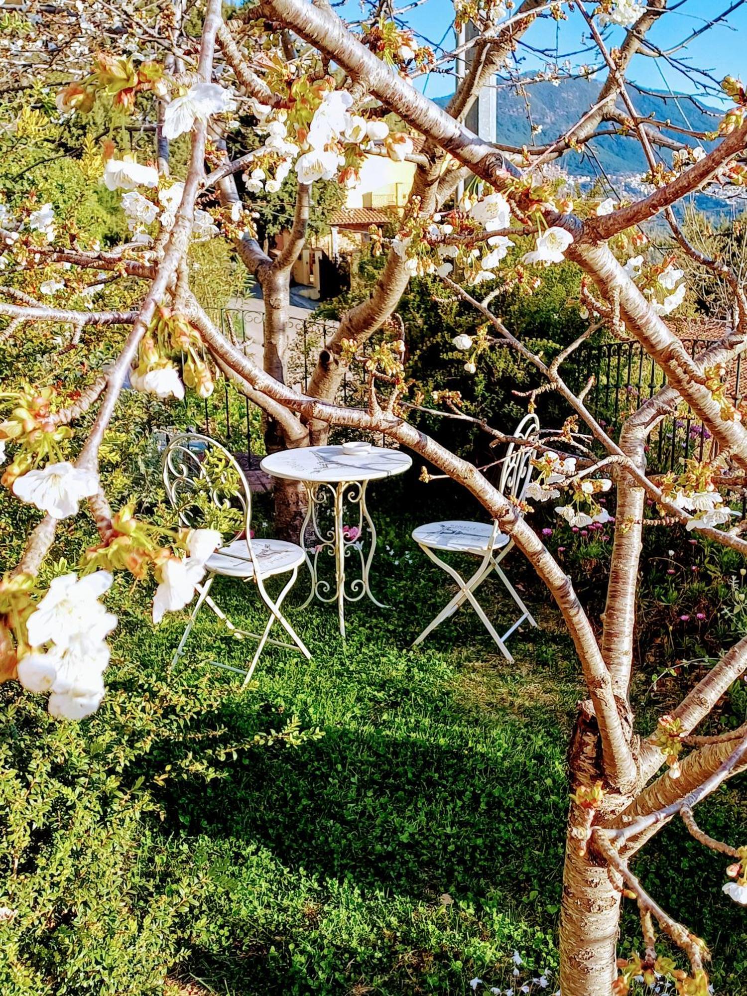 Monti E Mare Bed & Breakfast Lanusei Dış mekan fotoğraf