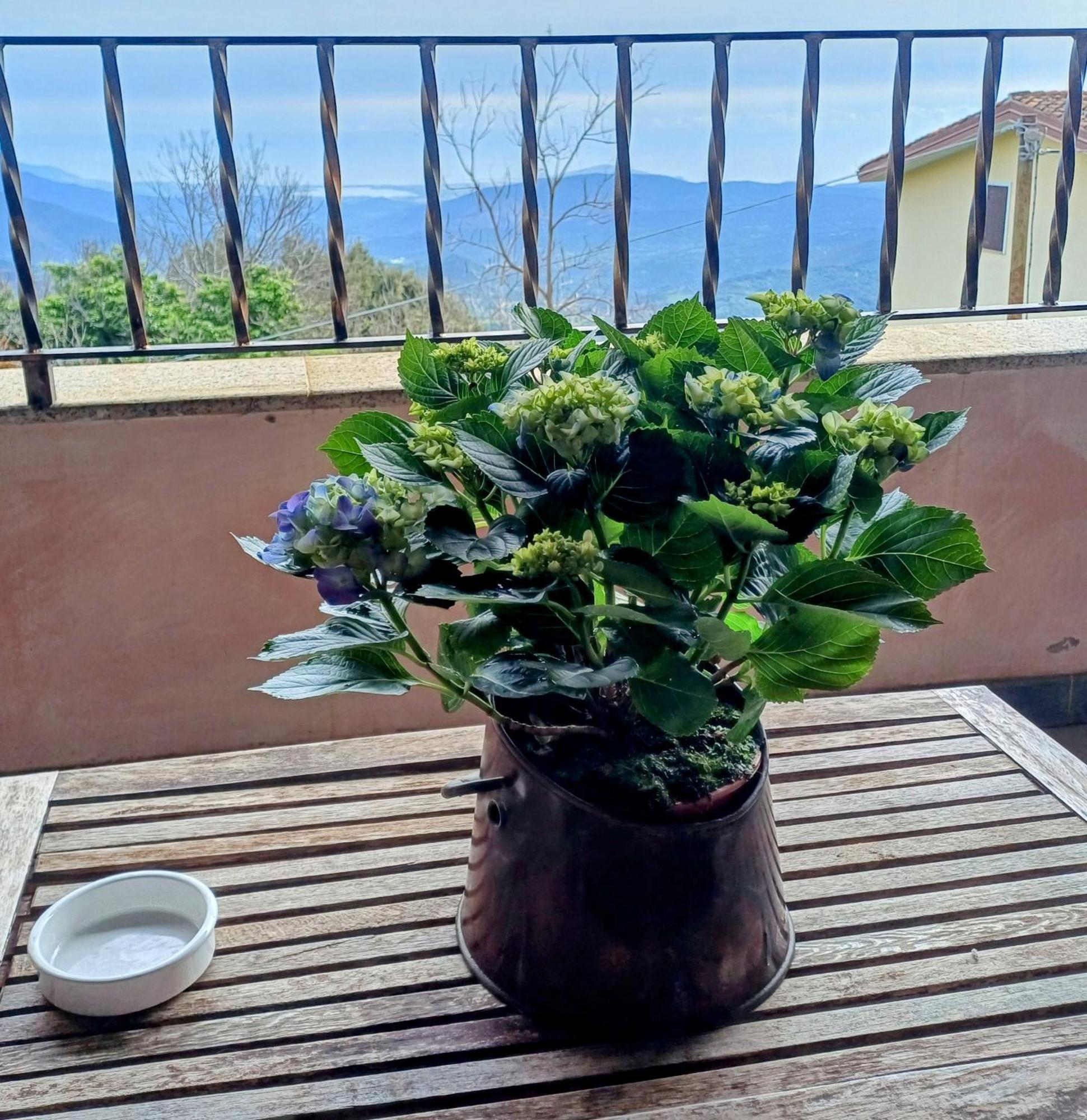 Monti E Mare Bed & Breakfast Lanusei Dış mekan fotoğraf