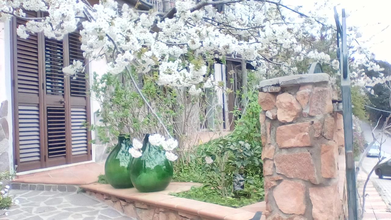 Monti E Mare Bed & Breakfast Lanusei Dış mekan fotoğraf